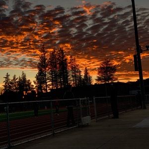 Meet your Posher, Koral